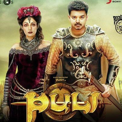 Puli